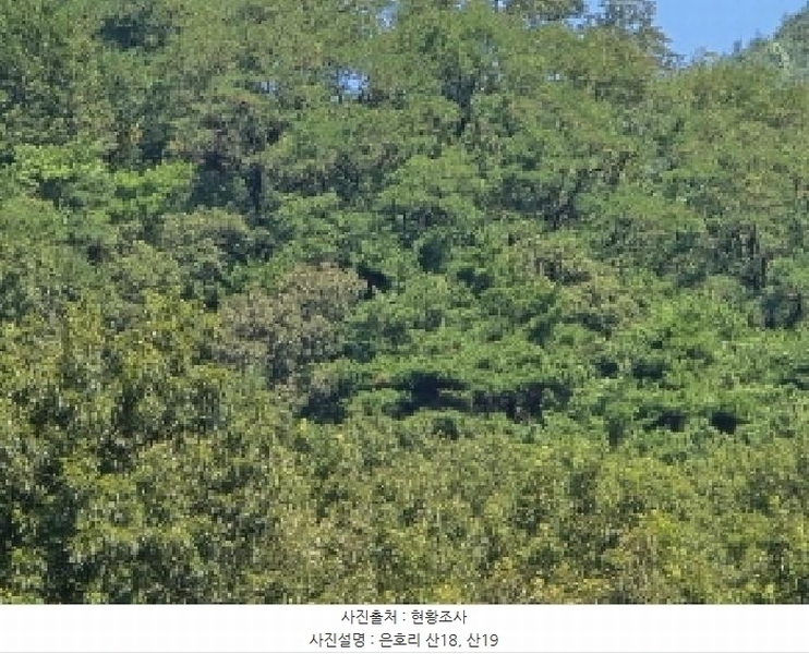 2025타경8486 경상북도 경산시 하양읍 은호리 산18 임야 경매 이미지