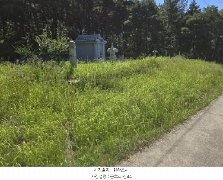 2025타경8486 경상북도 경산시 하양읍 은호리 산44 임야 경매 이미지
