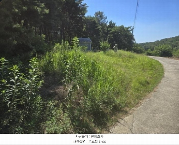2025타경8486 경상북도 경산시 하양읍 은호리 산44 임야 경매 이미지