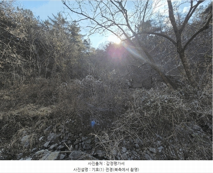 2025타경503864 대전광역시 동구 삼괴동 21 임야 경매 이미지