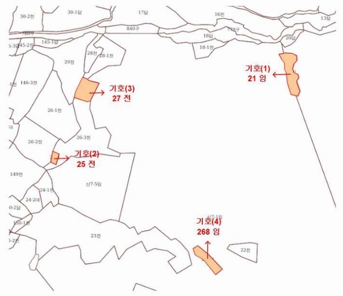 2025타경503864 대전광역시 동구 삼괴동 21 임야 경매 이미지