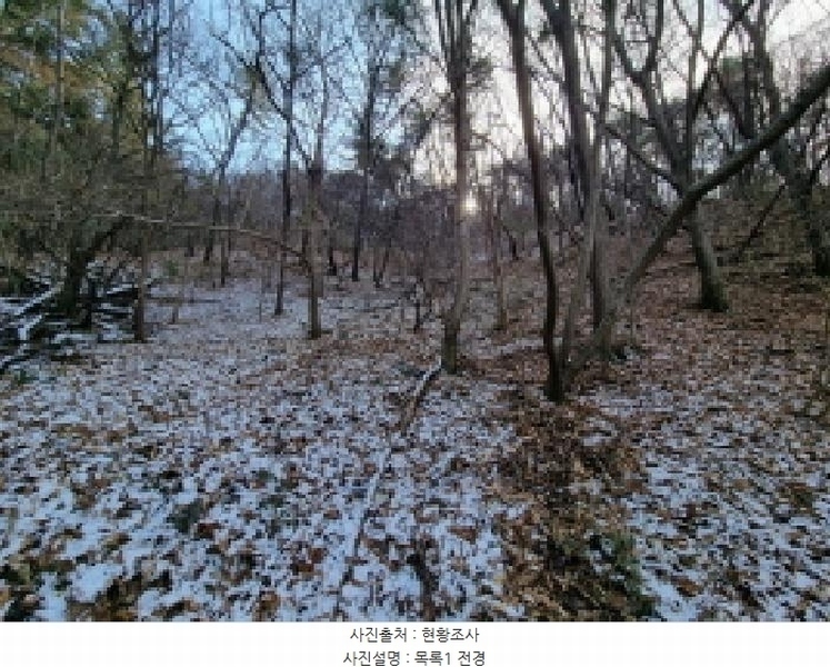 2025타경503864 대전광역시 동구 삼괴동 21 임야 경매 이미지