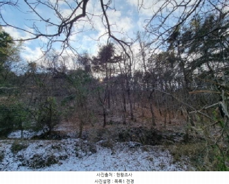 2025타경503864 대전광역시 동구 삼괴동 21 임야 경매 이미지