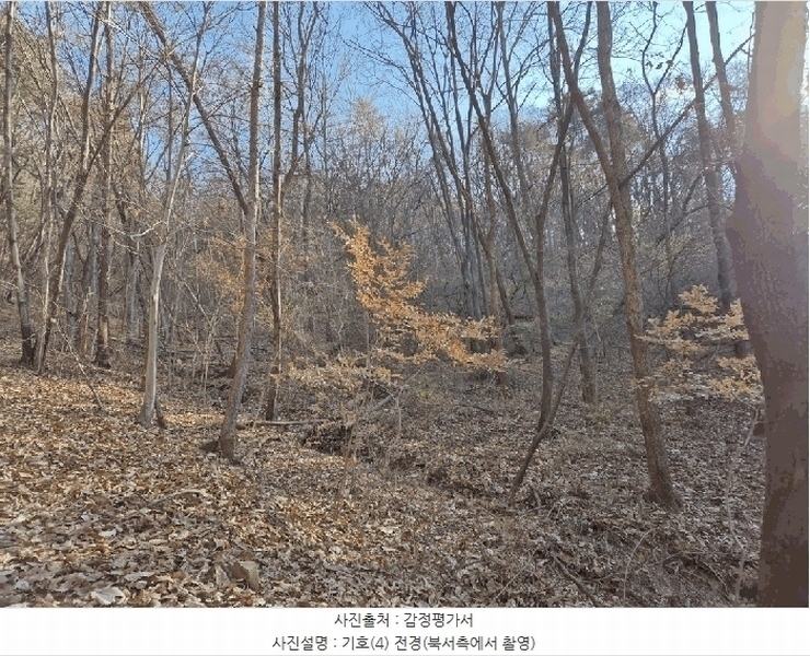 2025타경503864 대전광역시 동구 삼괴동 21 임야 경매 이미지