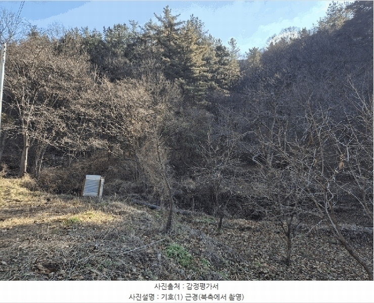 2025타경503864 대전광역시 동구 삼괴동 21 임야 경매 이미지
