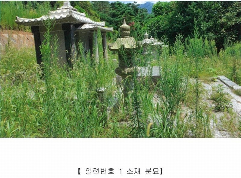 2022타경5329 전라남도 장성군 진원면 율곡리 산2-31 임야 경매 이미지