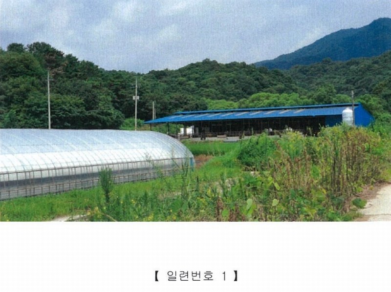2022타경5329 전라남도 장성군 진원면 율곡리 산2-31 임야 경매 이미지