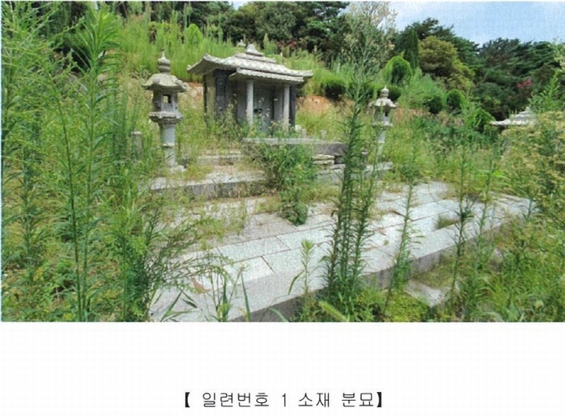 2022타경5329 전라남도 장성군 진원면 율곡리 산2-31 임야 경매 이미지