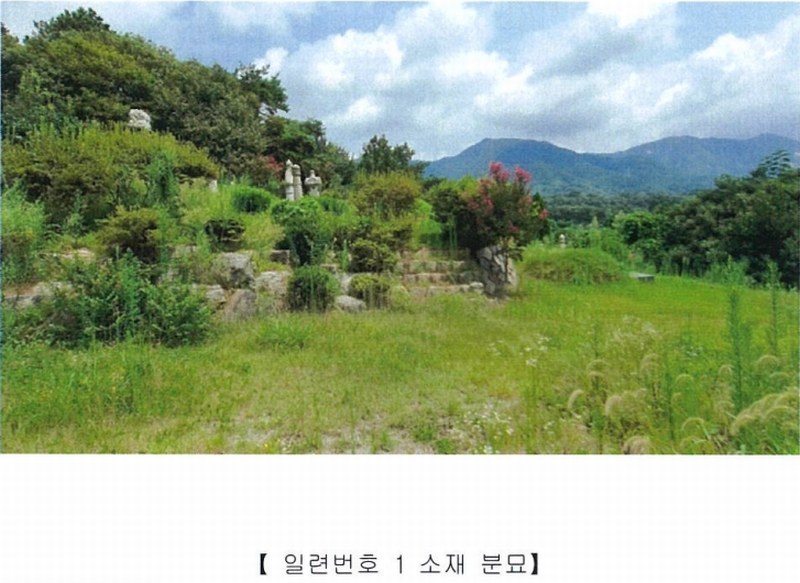 2022타경5329 전라남도 장성군 진원면 율곡리 산2-31 임야 경매 이미지