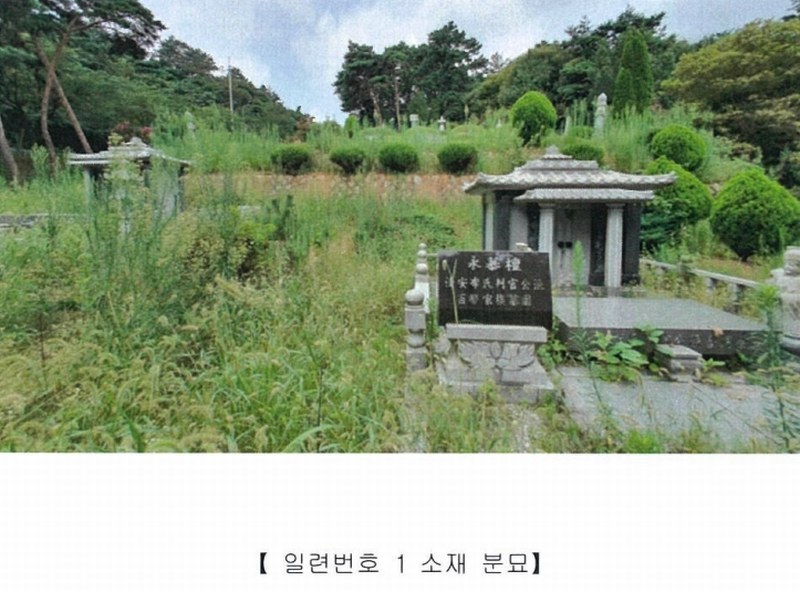 2022타경5329 전라남도 장성군 진원면 율곡리 산2-31 임야 경매 이미지