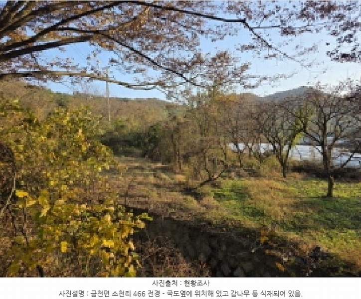 2025타경8926 경상북도 청도군 금천면 소천리 466 농지 경매 이미지