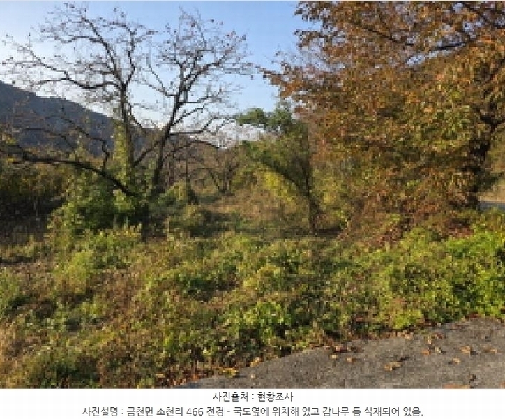 2025타경8926 경상북도 청도군 금천면 소천리 466 농지 경매 이미지