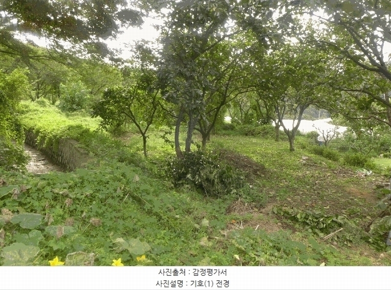 2025타경8926 경상북도 청도군 금천면 소천리 466 농지 경매 이미지