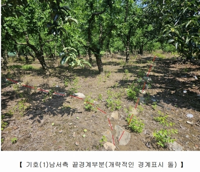 2025타경955 경상북도 청도군 매전면 하평리 834-4 농지 경매 이미지