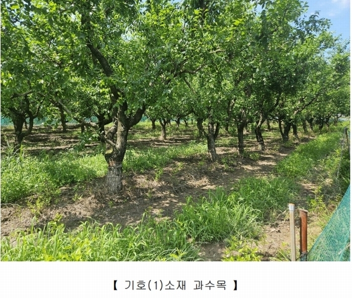 2025타경955 경상북도 청도군 매전면 하평리 834-4 농지 경매 이미지