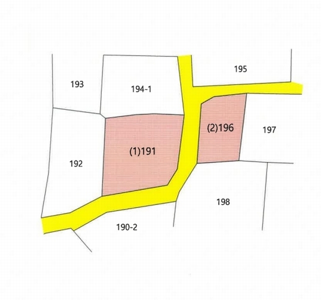 2025타경1019 경상북도 칠곡군 지천면 신리 191 대지 경매 이미지