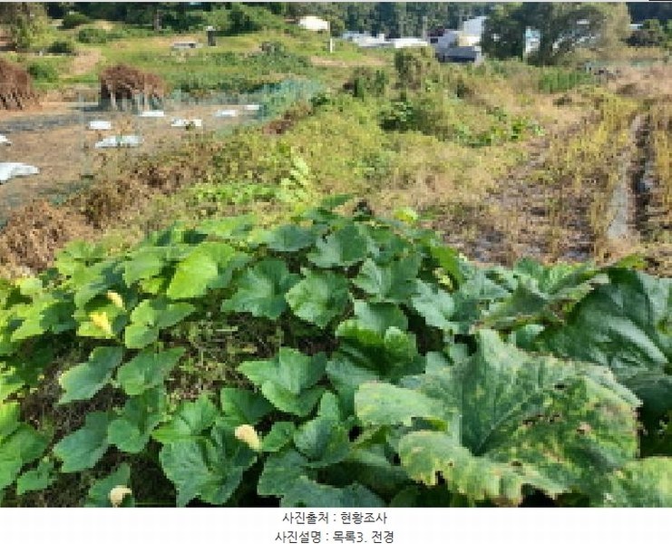 2025타경1659 인천광역시 서구 금곡동 117 농지 경매 이미지