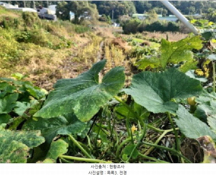 2025타경1659 인천광역시 서구 금곡동 117 농지 경매 이미지