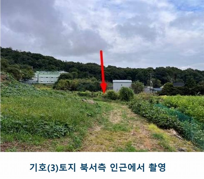 2025타경1659 인천광역시 서구 금곡동 117 농지 경매 이미지