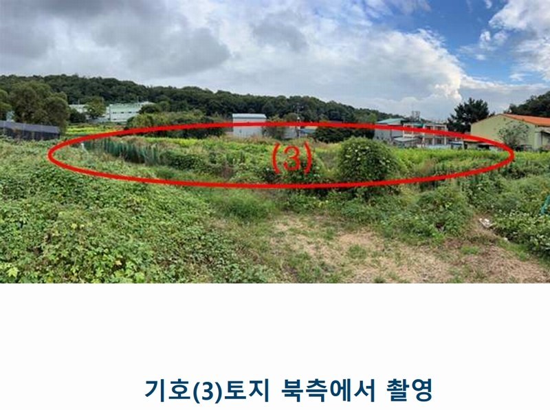 2025타경1659 인천광역시 서구 금곡동 117 농지 경매 이미지