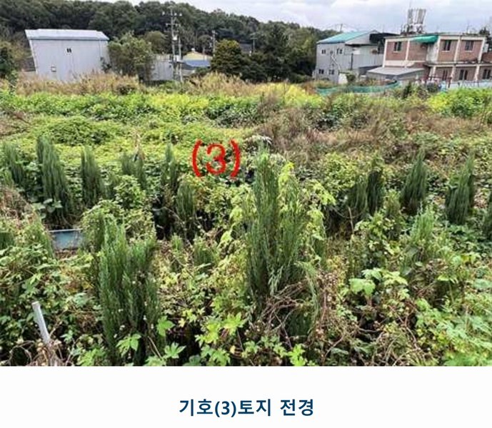 2025타경1659 인천광역시 서구 금곡동 117 농지 경매 이미지