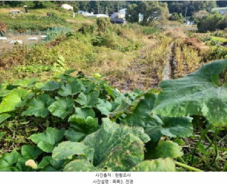 2025타경1659 인천광역시 서구 금곡동 117 농지 경매 이미지