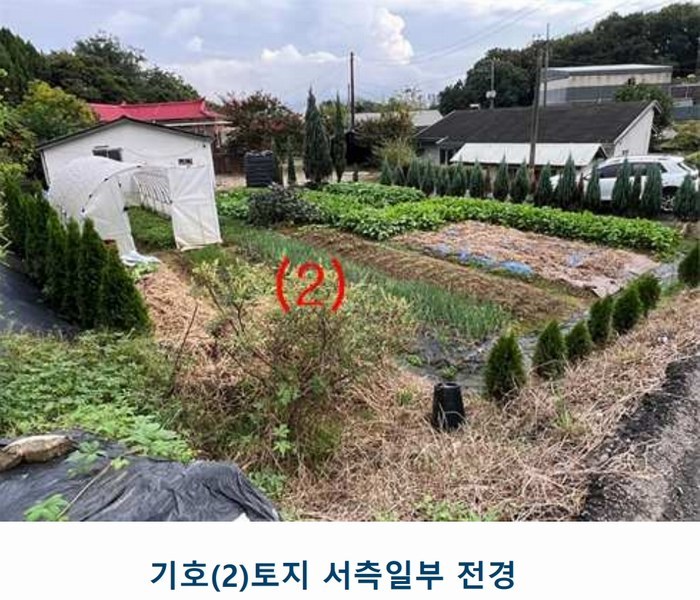2025타경1659 인천광역시 서구 금곡동 112-1 농지 경매 이미지