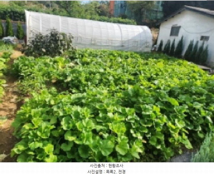2025타경1659 인천광역시 서구 금곡동 112-1 농지 경매 이미지