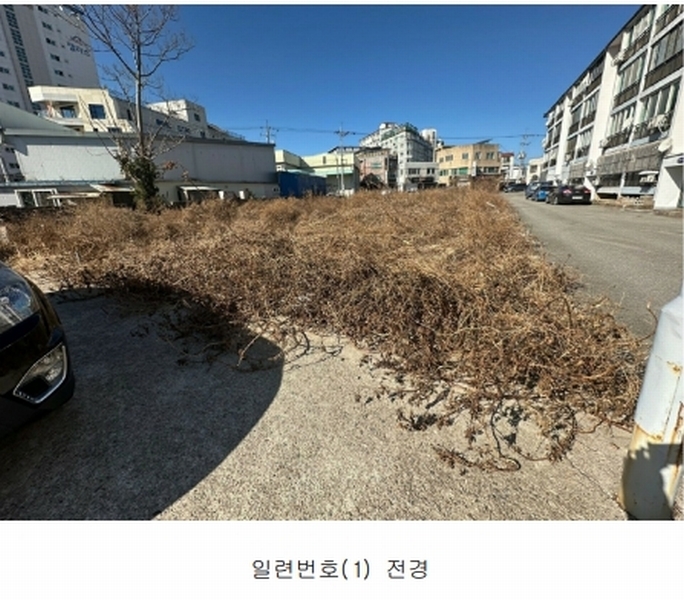 2025타경10070 경상북도 영덕군 영덕읍 우곡리 339-3 대지 경매 이미지