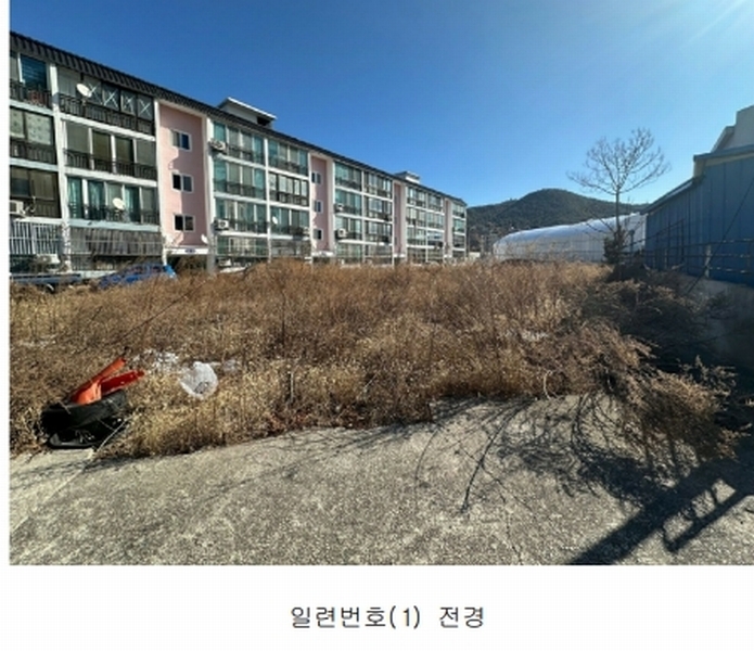 2025타경10070 경상북도 영덕군 영덕읍 우곡리 339-3 대지 경매 이미지