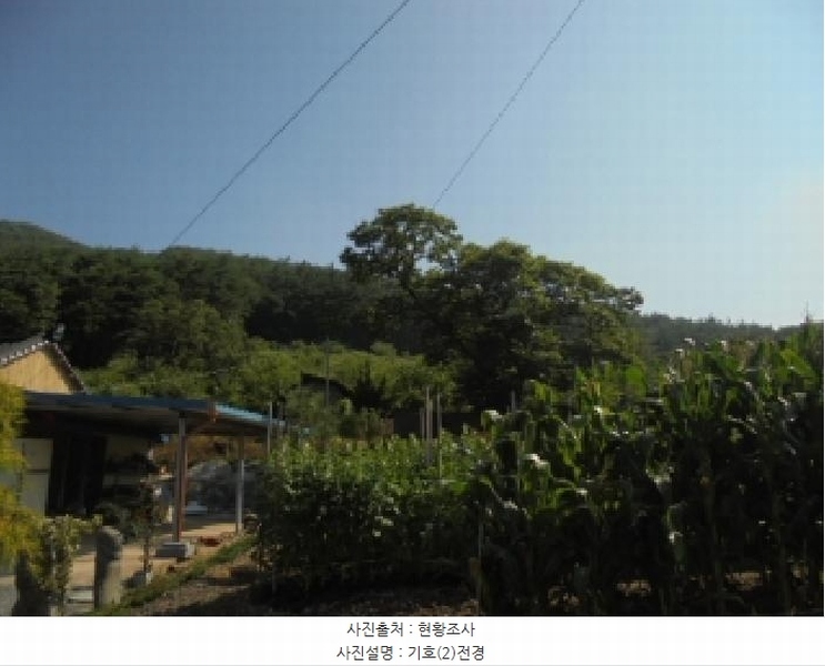 2025타경20397 충청남도 부여군 외산면 갈산리 산6-5 임야 경매 이미지