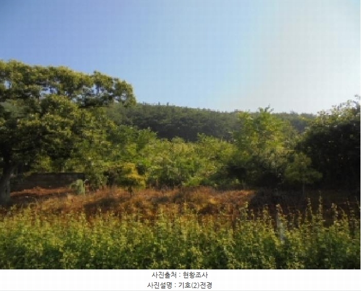 2025타경20397 충청남도 부여군 외산면 갈산리 산6-5 임야 경매 이미지