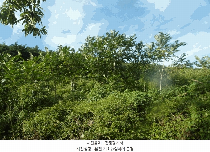 2025타경20397 충청남도 부여군 외산면 갈산리 산6-5 임야 경매 이미지