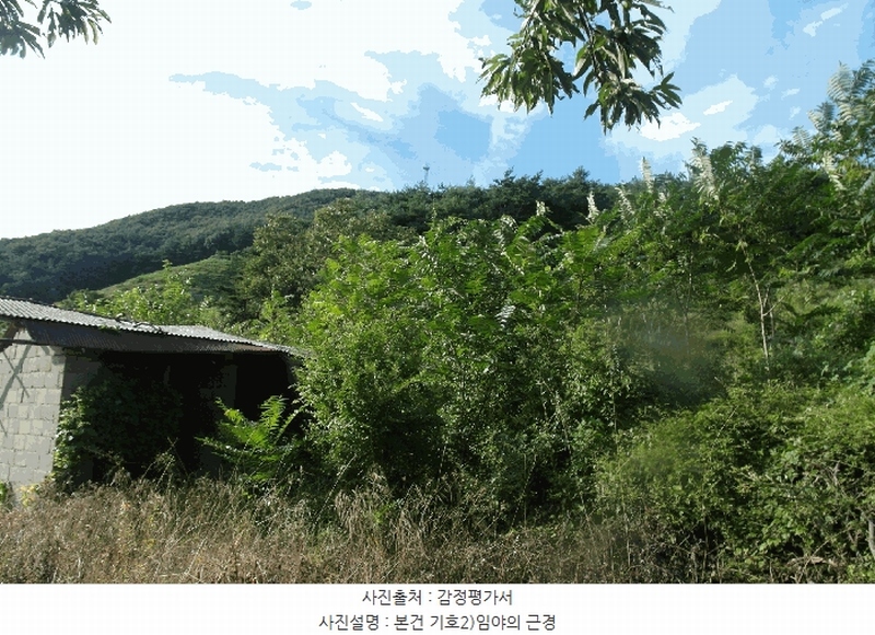 2025타경20397 충청남도 부여군 외산면 갈산리 산6-5 임야 경매 이미지