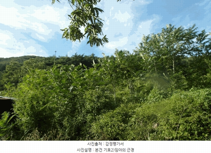 2025타경20397 충청남도 부여군 외산면 갈산리 산6-5 임야 경매 이미지