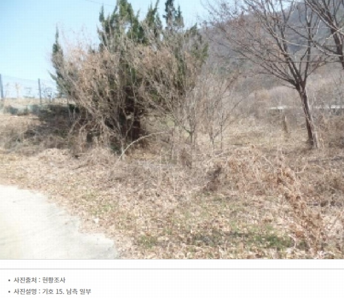 2025타경20582 충청남도 논산시 연산면 신양리 1-35 임야 경매 이미지