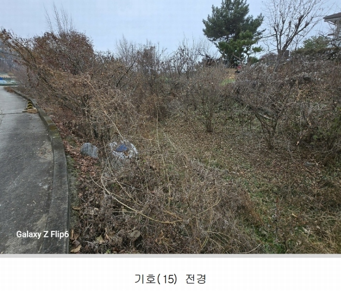 2025타경20582 충청남도 논산시 연산면 신양리 1-35 임야 경매 이미지