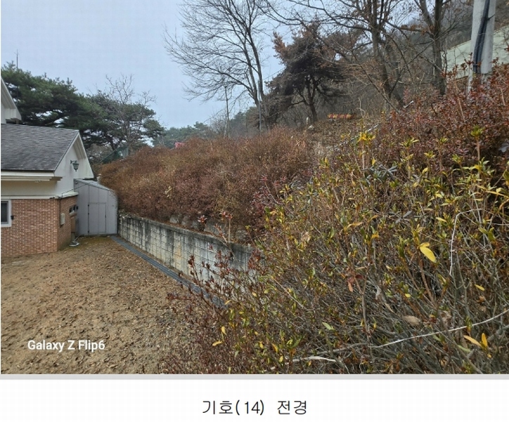 2025타경20582 충청남도 논산시 연산면 신양리 1-12 임야 경매 이미지