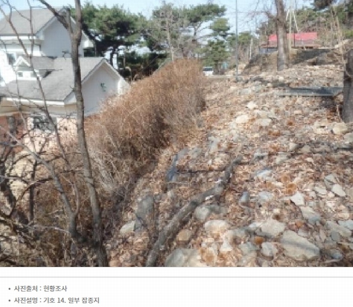 2025타경20582 충청남도 논산시 연산면 신양리 1-12 임야 경매 이미지