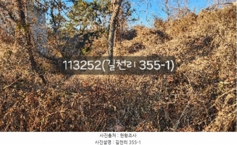 2024타경113252 부산광역시 기장군 장안읍 길천리 355-1 농지 경매 이미지