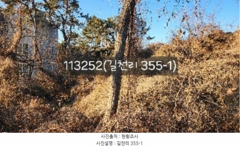 2024타경113252 부산광역시 기장군 장안읍 길천리 355-1 농지 경매 이미지