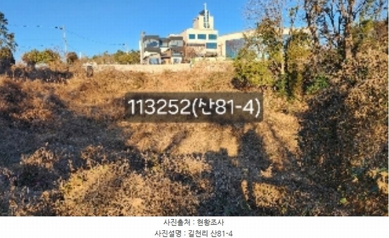 2024타경113252 부산광역시 기장군 장안읍 길천리 산81-4 임야 경매 이미지