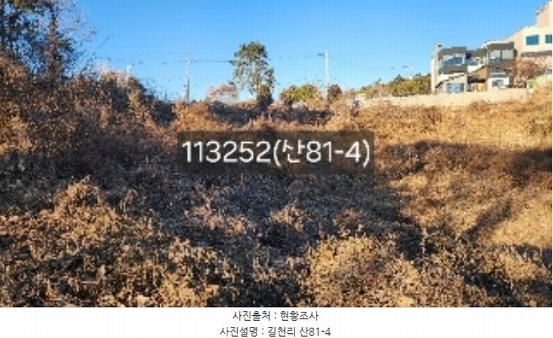 2024타경113252 부산광역시 기장군 장안읍 길천리 산81-4 임야 경매 이미지