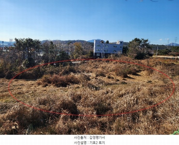 2024타경113252 부산광역시 기장군 장안읍 길천리 산81-4 임야 경매 이미지