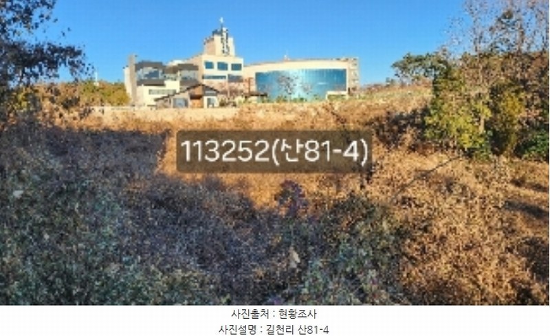 2024타경113252 부산광역시 기장군 장안읍 길천리 산81-4 임야 경매 이미지