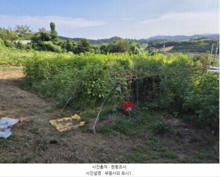 2025타경12454 울산광역시 울주군 서생면 위양리 56 과수원 경매 이미지