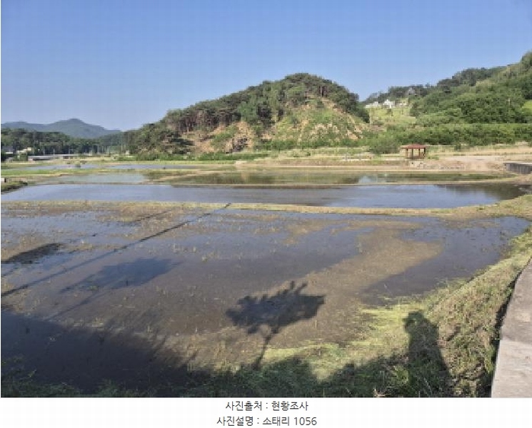 2025타경462 경상북도 울진군 온정면 소태리 1056 농지 경매 이미지