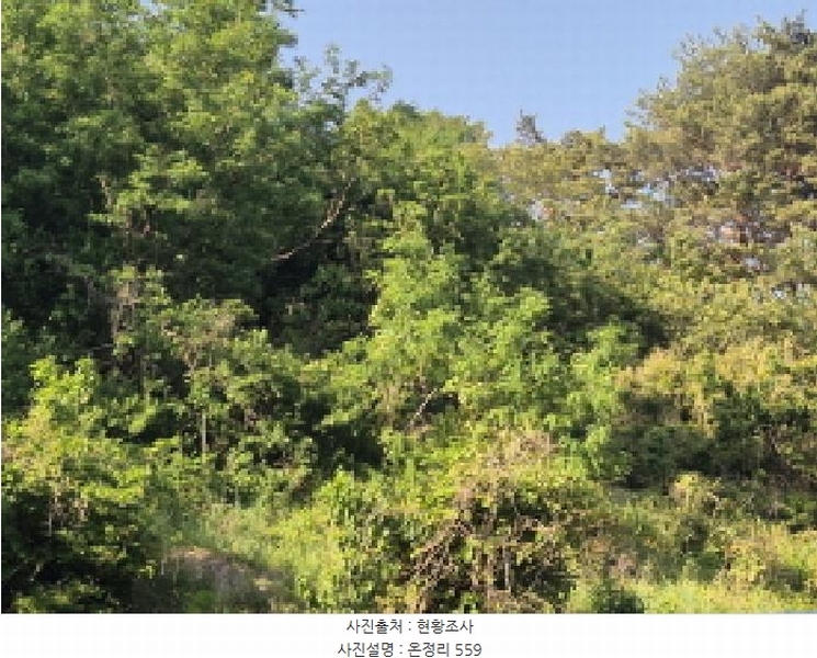 2025타경462 경상북도 울진군 온정면 온정리 559 농지 경매 이미지