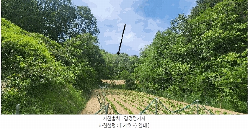 2025타경462 경상북도 울진군 온정면 온정리 559 농지 경매 이미지