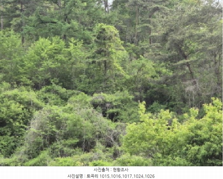 2025타경10228 경상북도 영양군 청기면 토곡리 1026 농지 경매 이미지